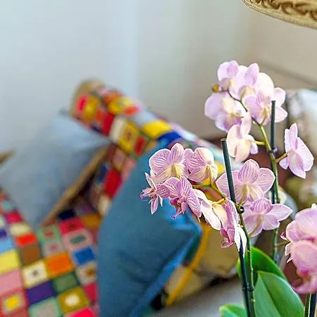 Tante Alma's Koelner 3* كولونيا